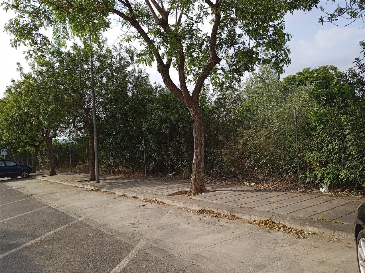 Moradia nova com cave, terraços e jardim – Carcaixent - Image 16