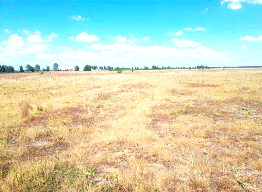 Asset image0