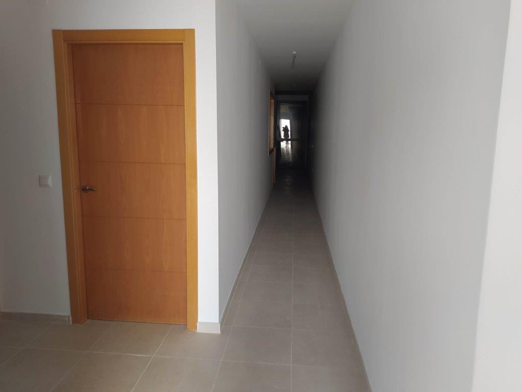 - Image 12
