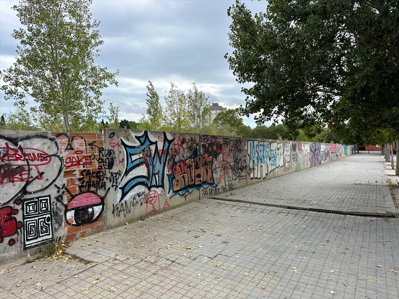 - Image 12