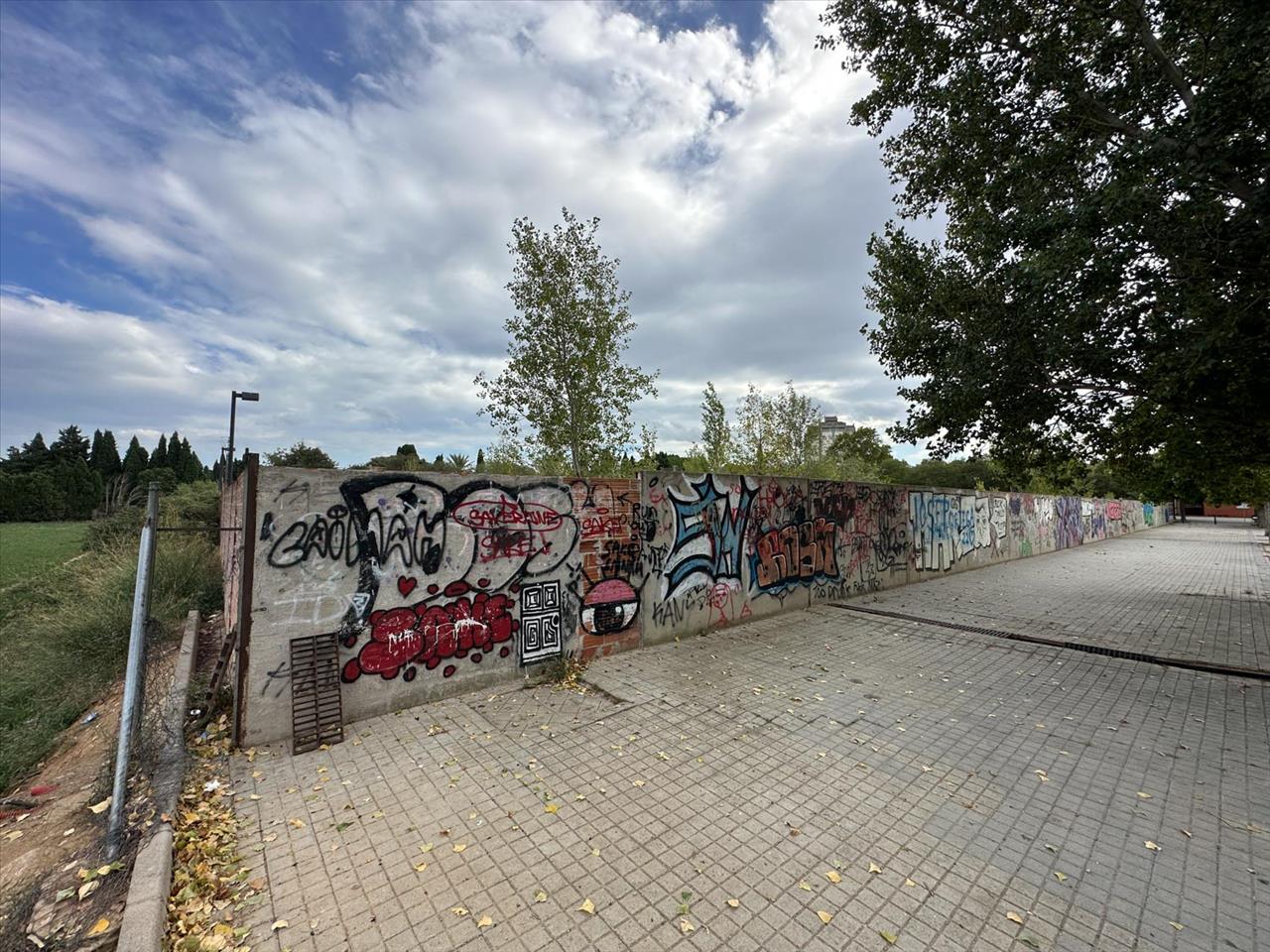 - Image 11
