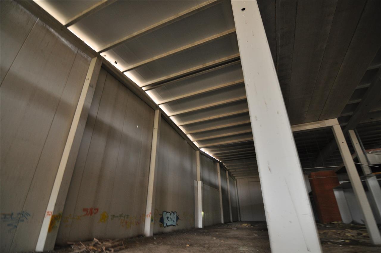 - Image 5