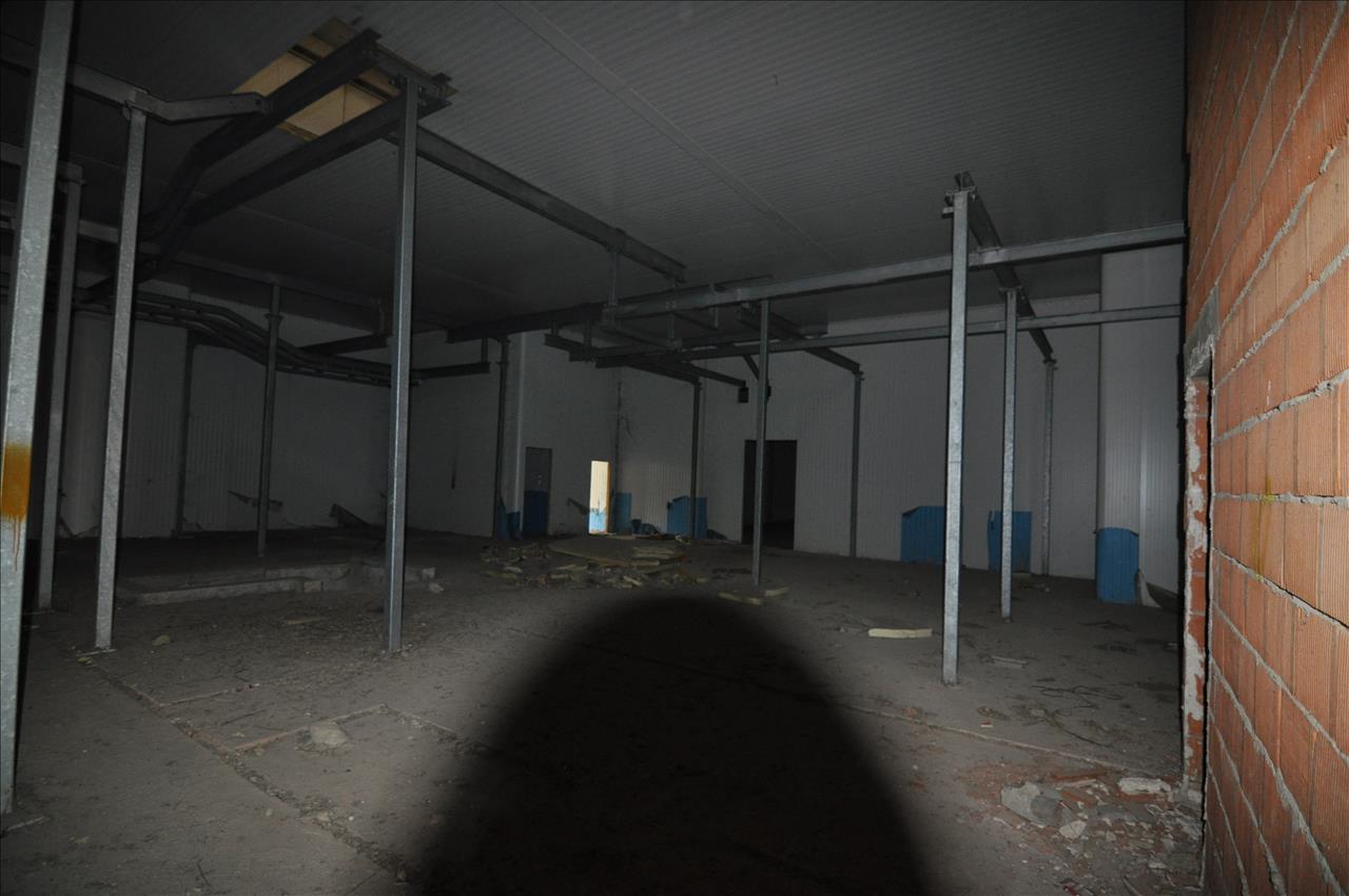 - Image 10