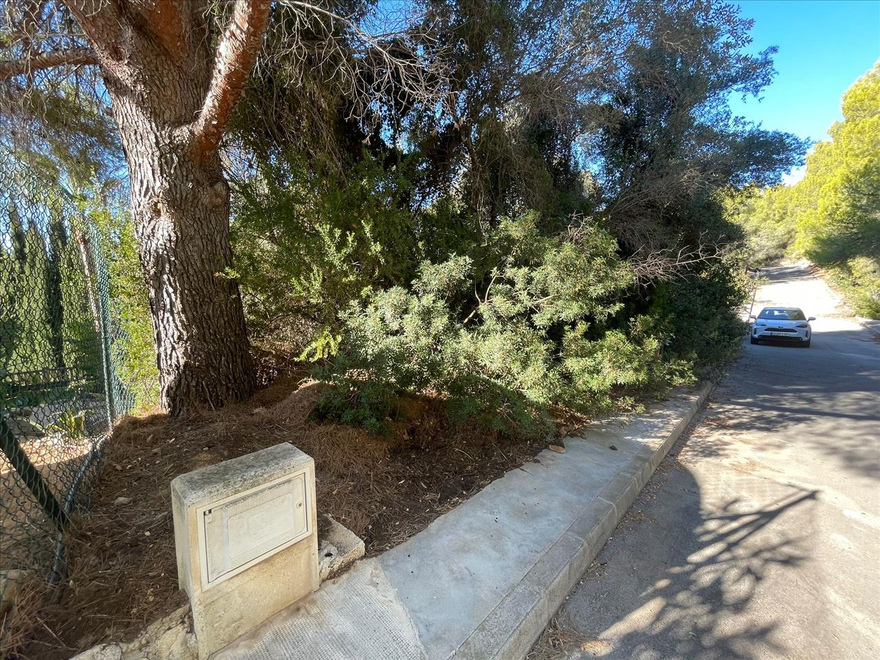  - Image 4