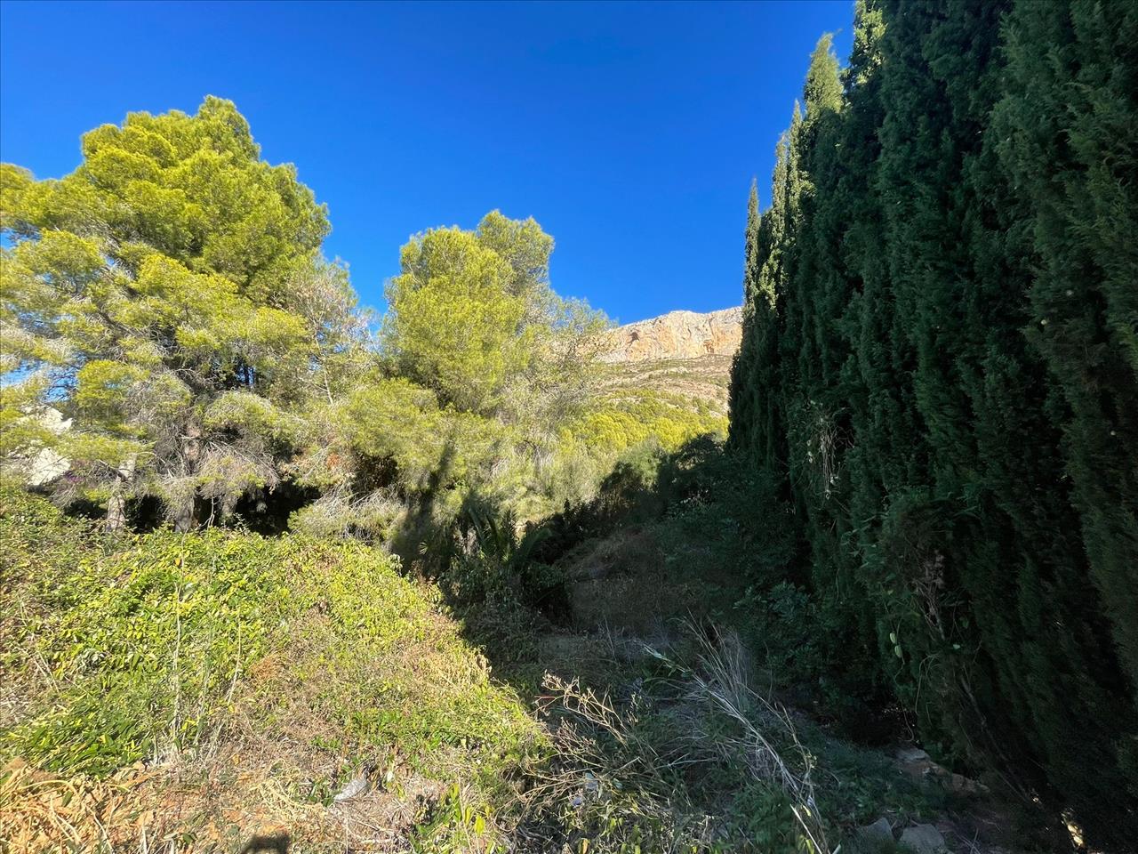  - Image 6