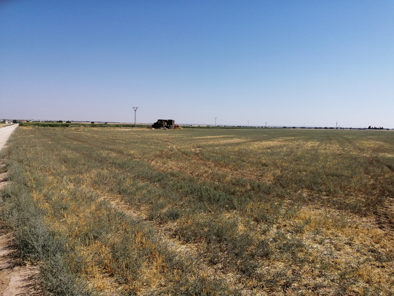 image01