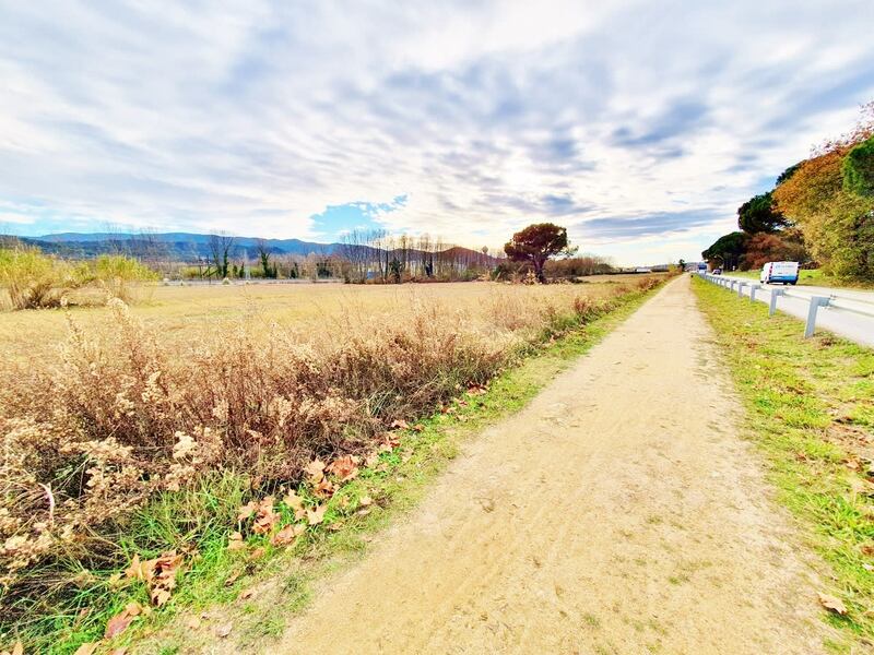 - Image 6