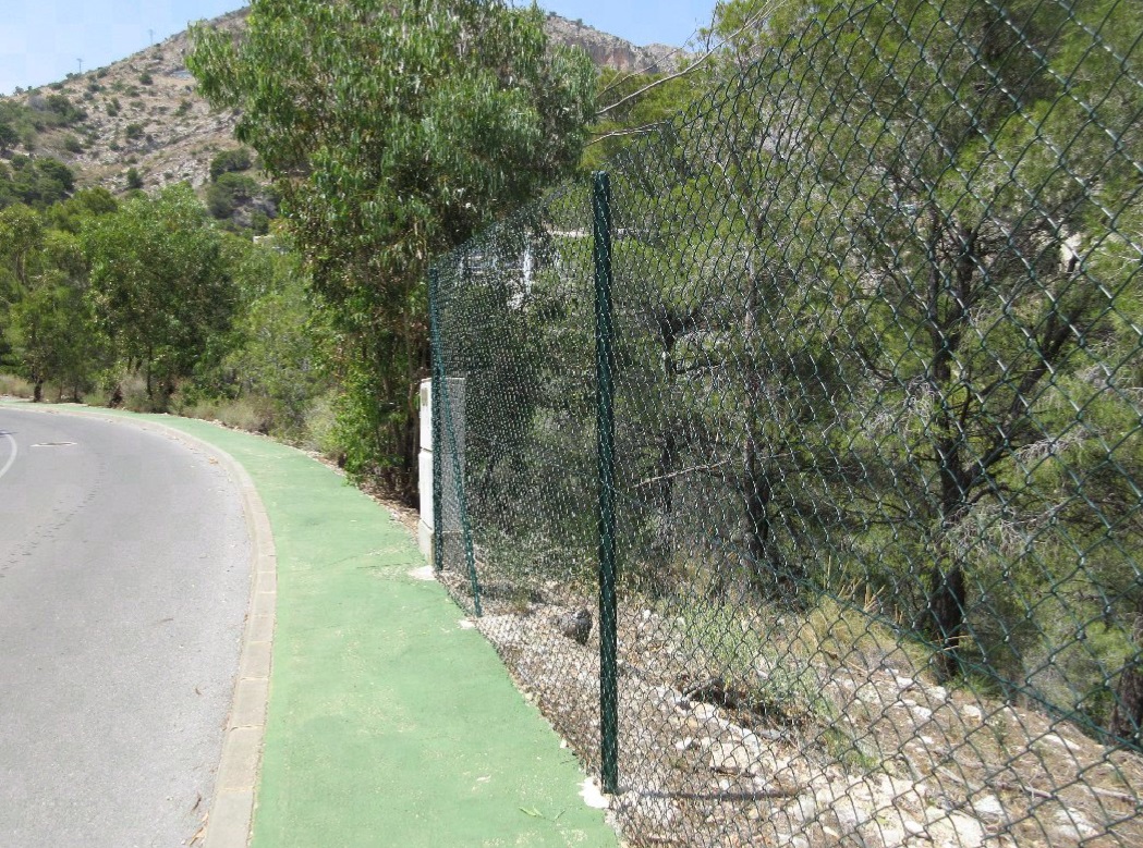 undefined - Image 12