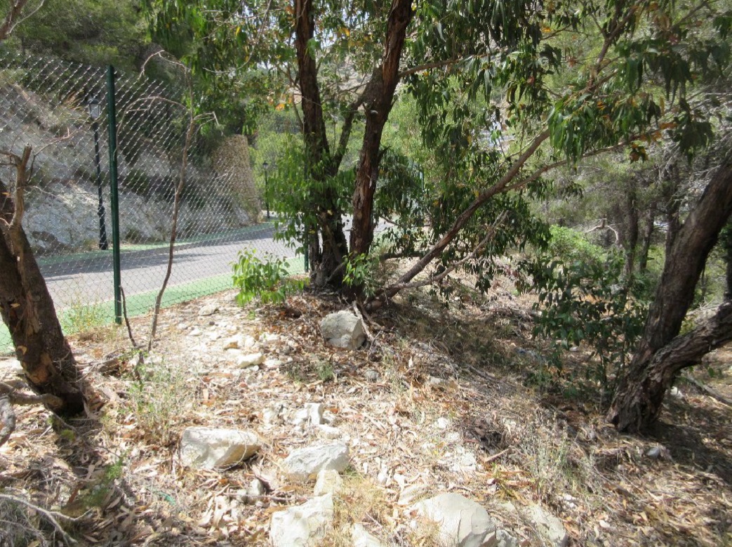 undefined - Image 14