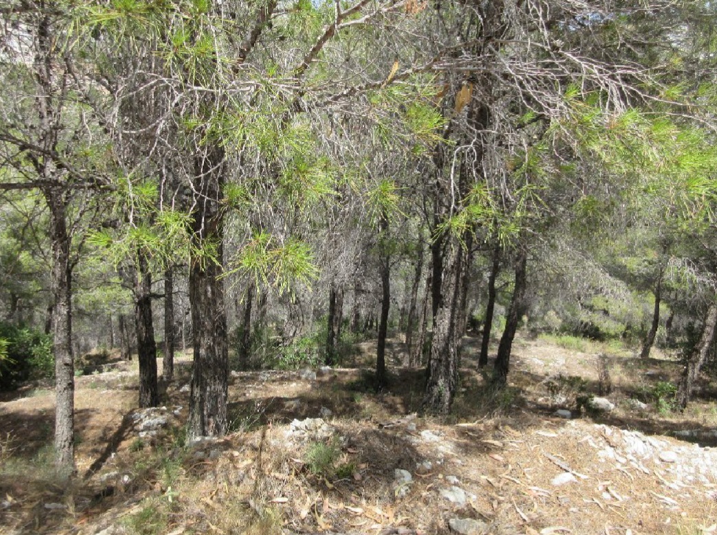 undefined - Image 16