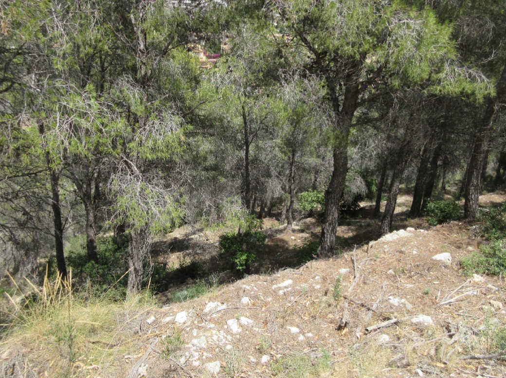 undefined - Image 15