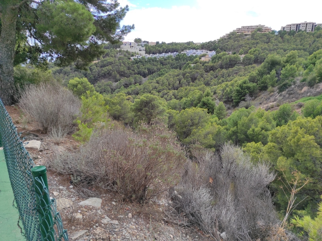 undefined - Image 7