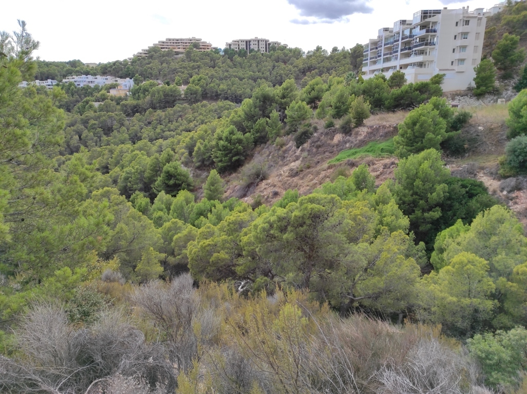 undefined - Image 6