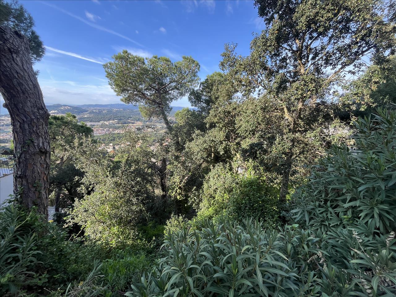 Image4