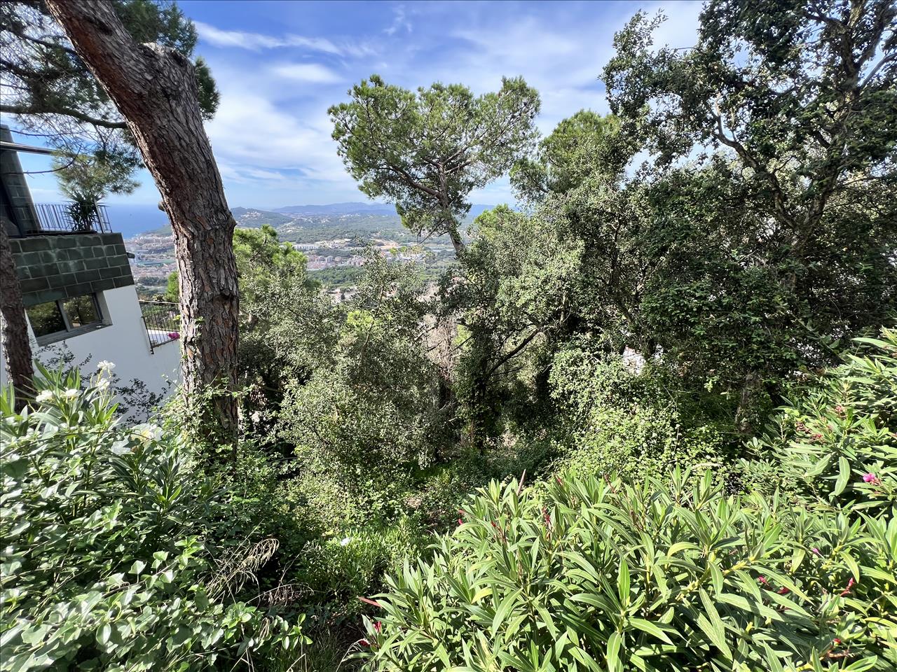 Image3