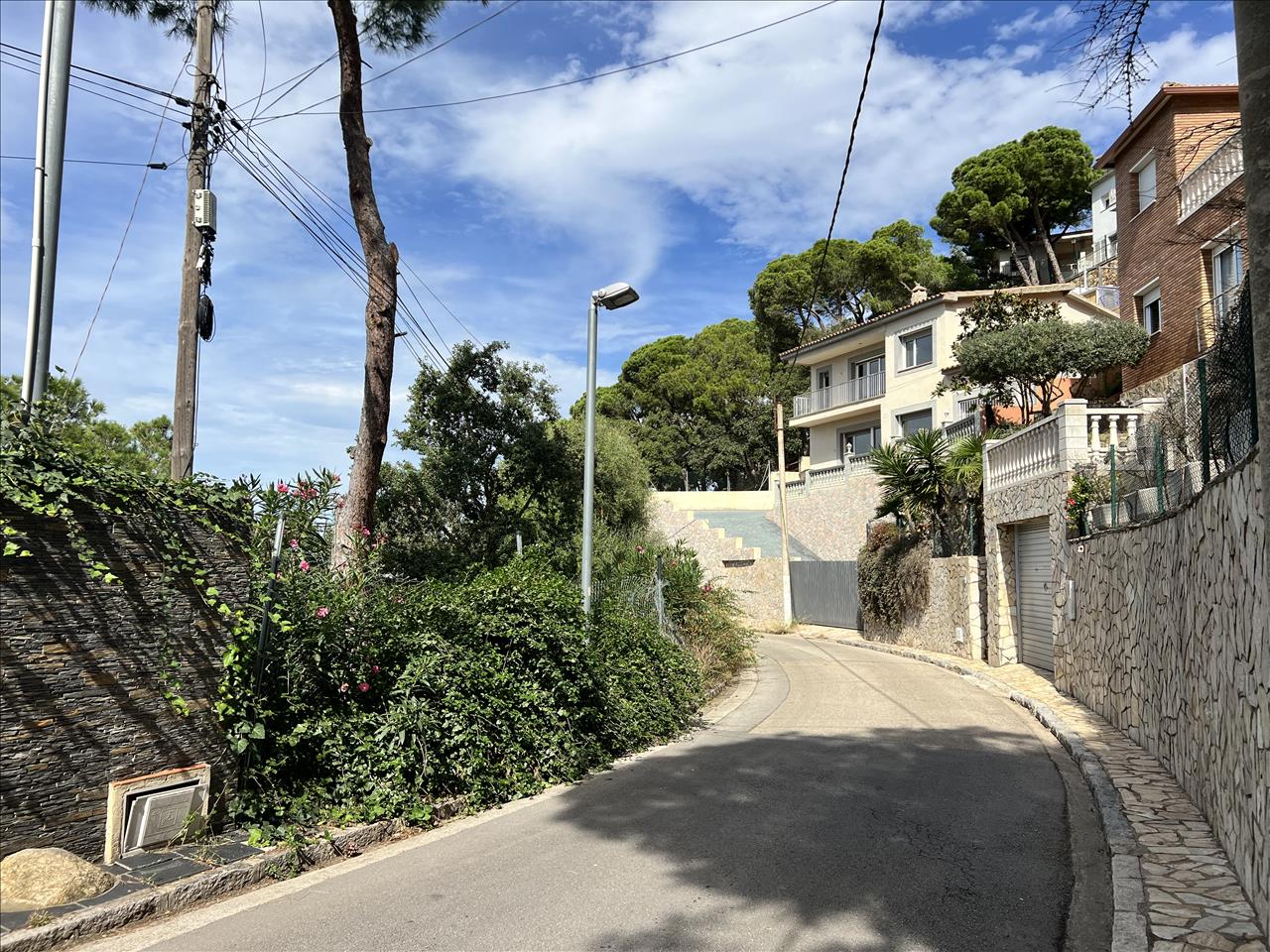 - Image 6