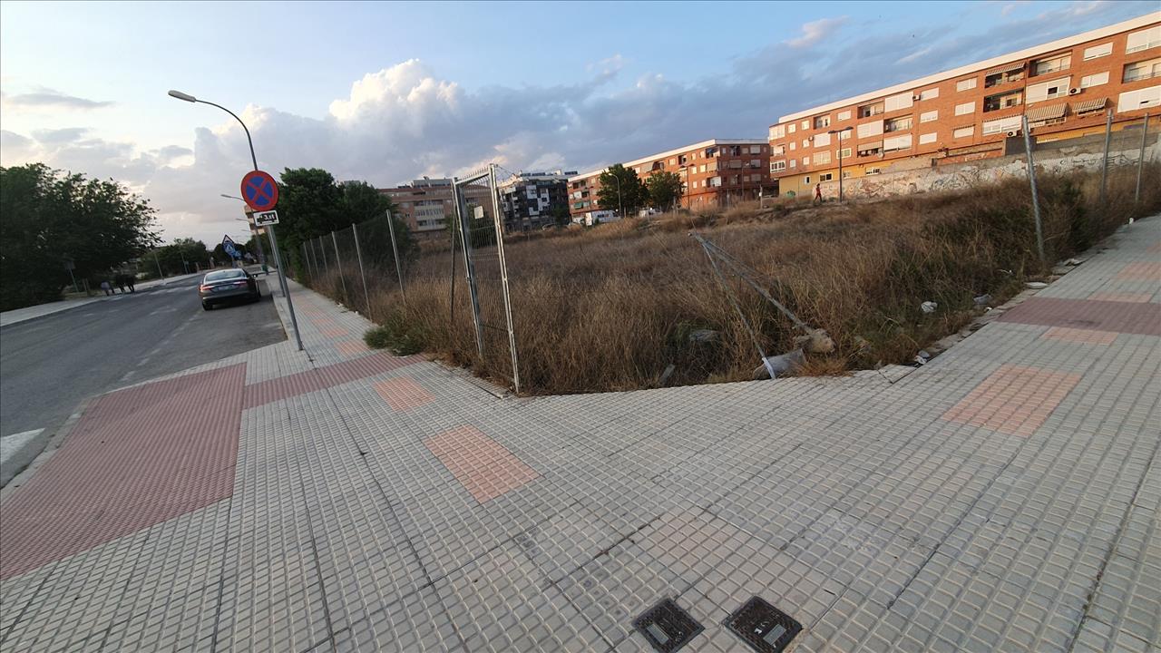 - Image 10
