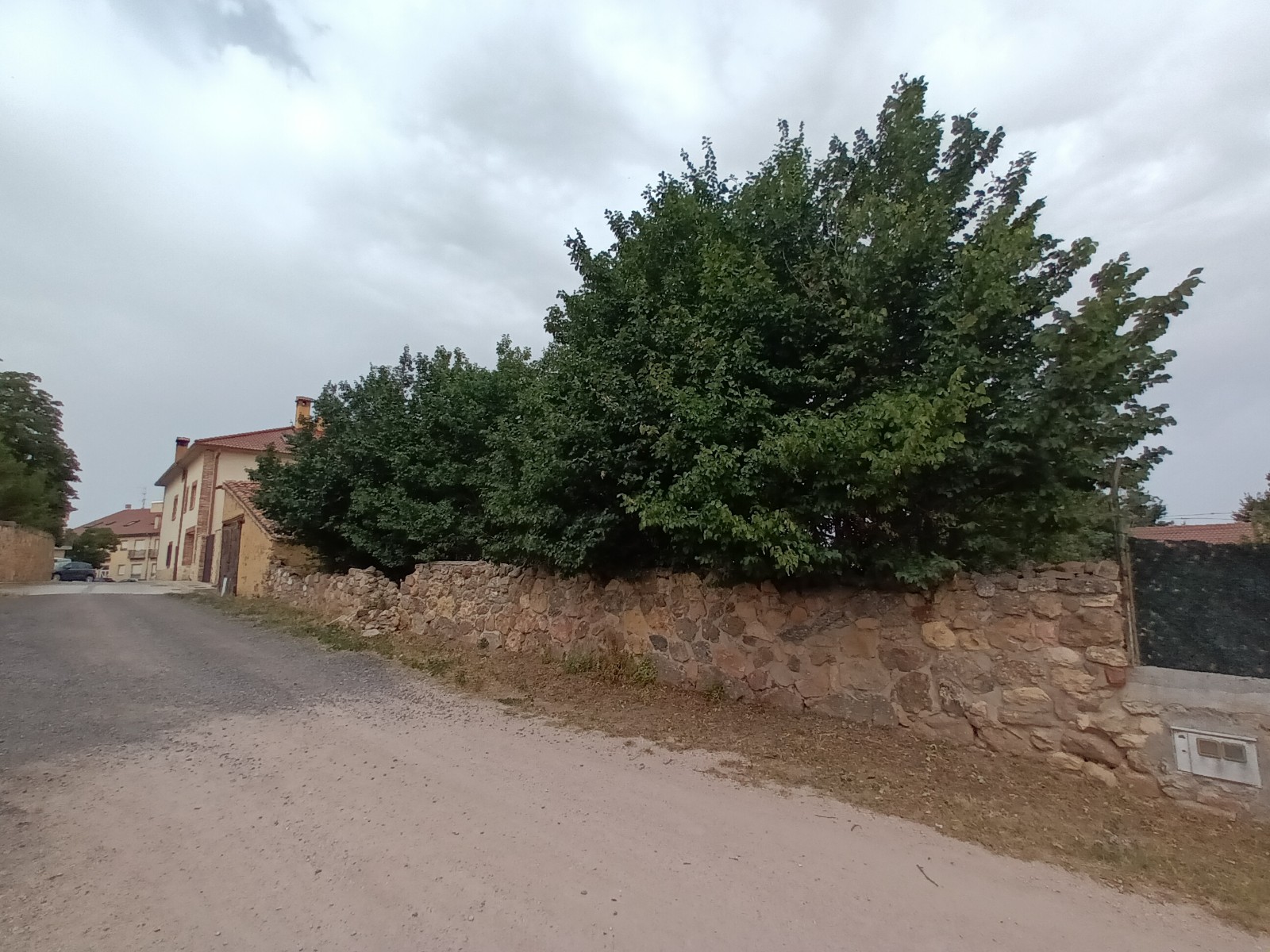 undefined - Image 5