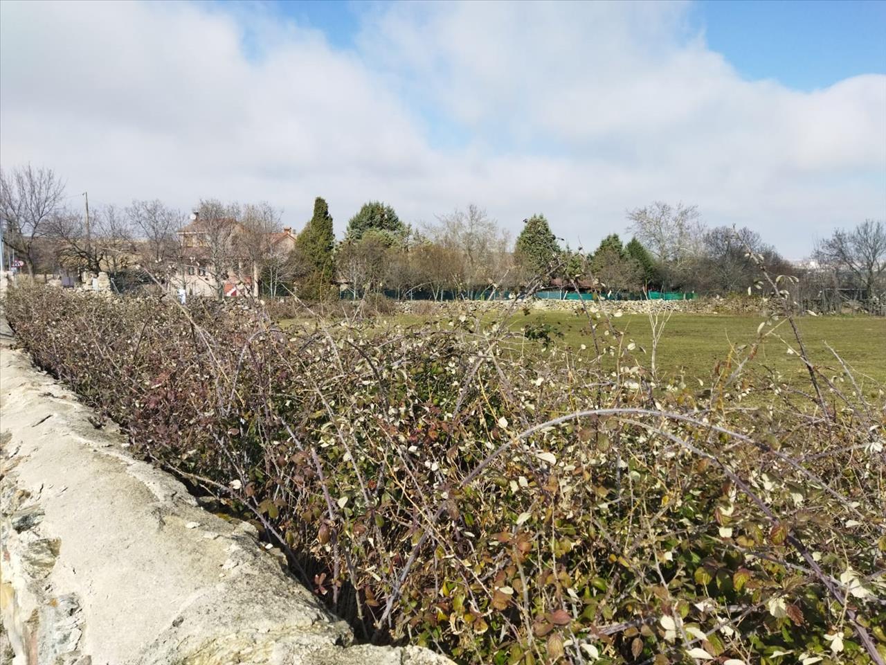 undefined - Image 9