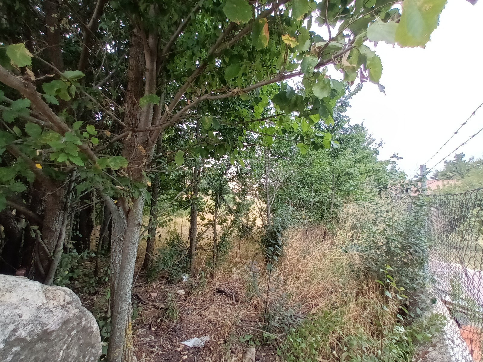 undefined - Image 10