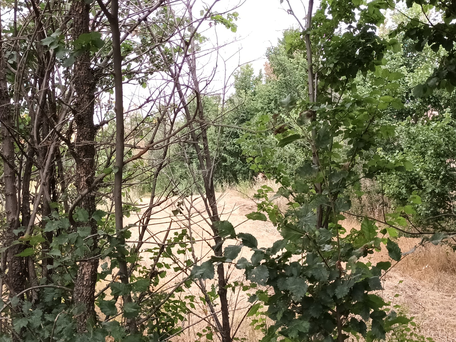 undefined - Image 11