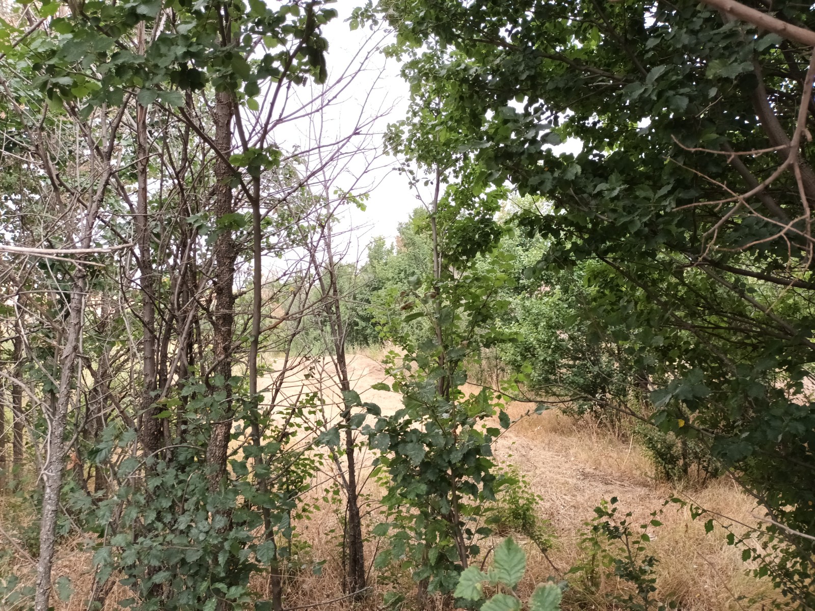 undefined - Image 12