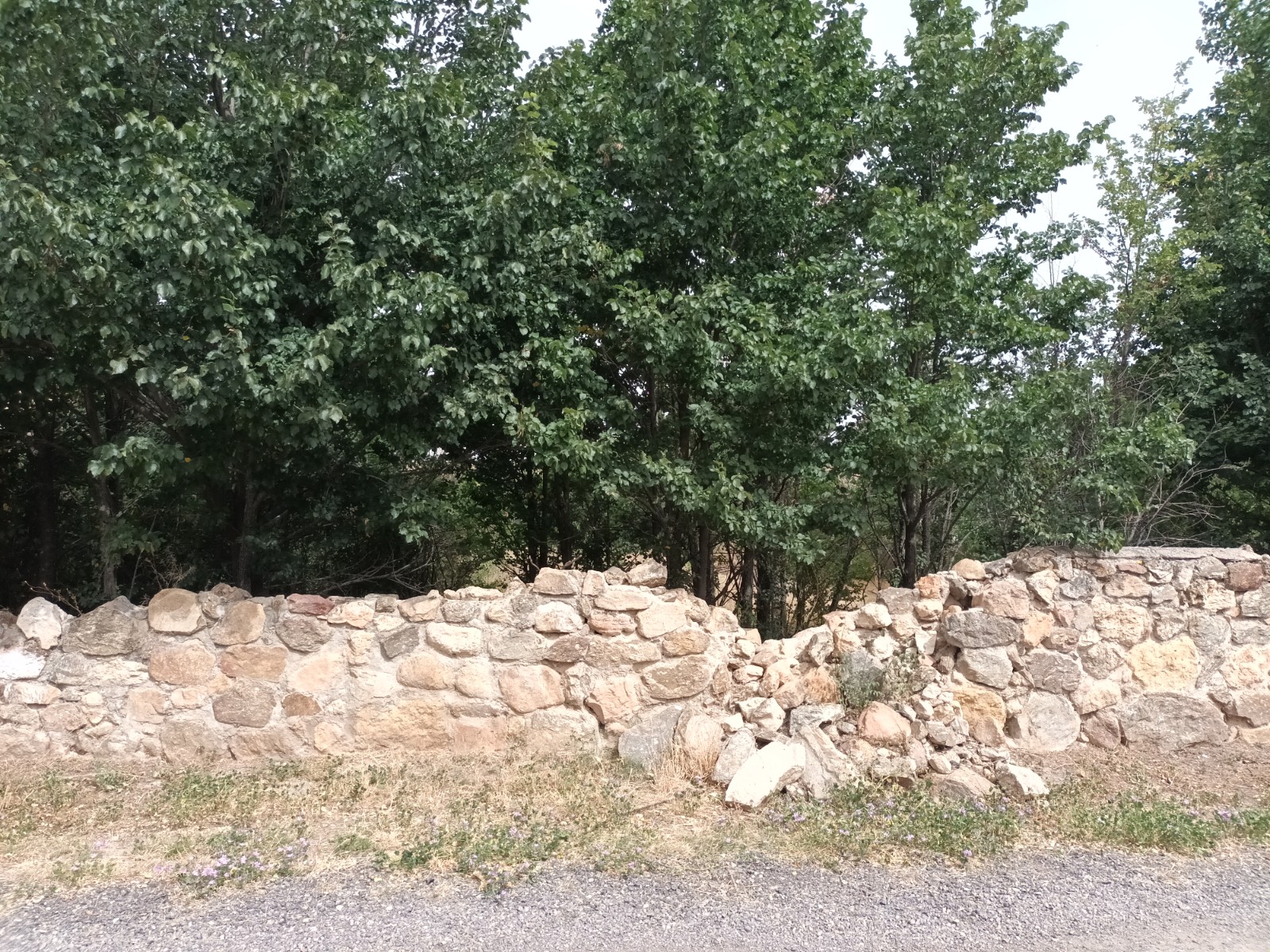 undefined - Image 13