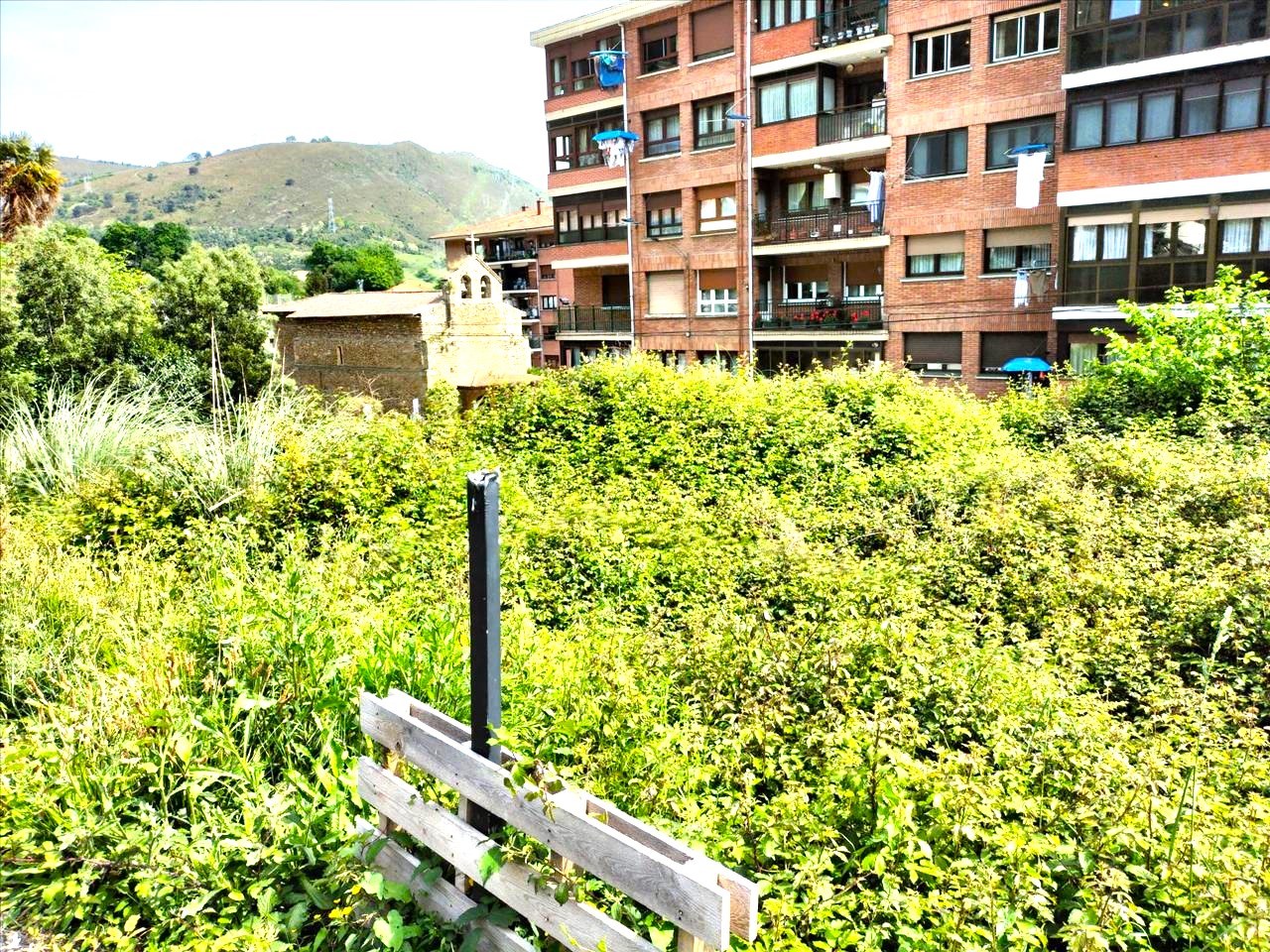 Image4