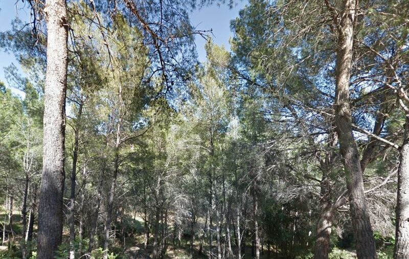 Suelo urbanizable residencial en REFUGIO