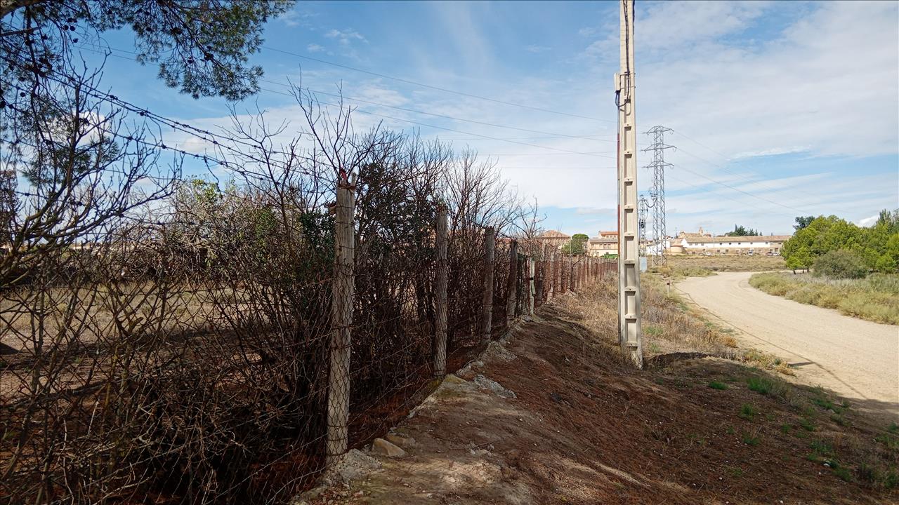 Asset image0
