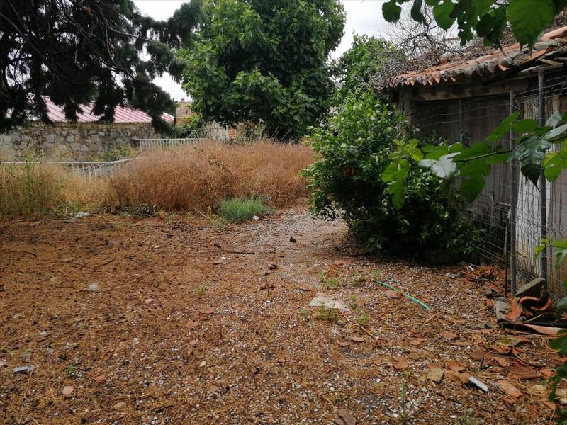  - Image 4