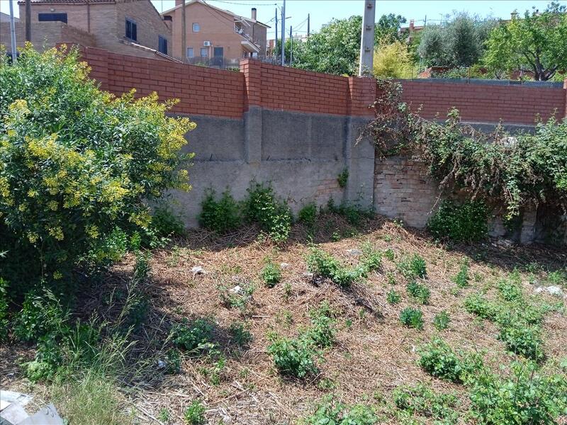 - Image 6