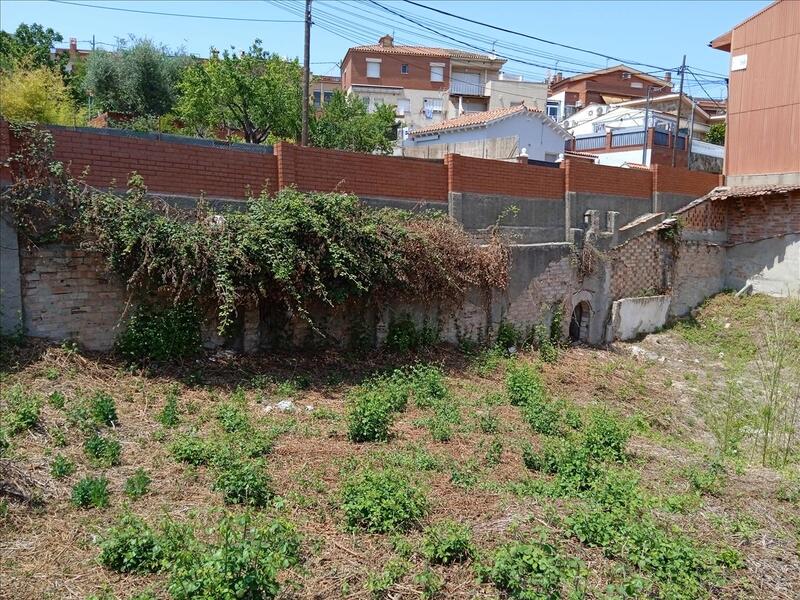 - Image 7