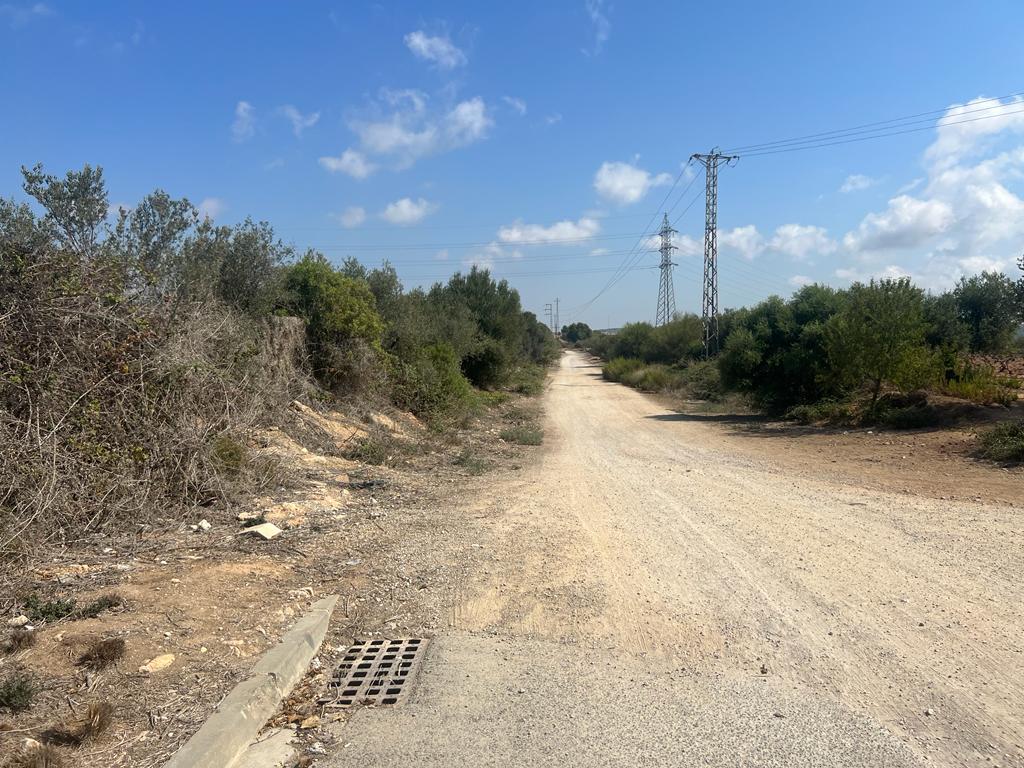 - Image 14