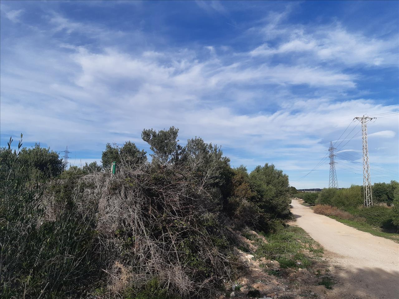 - Image 10