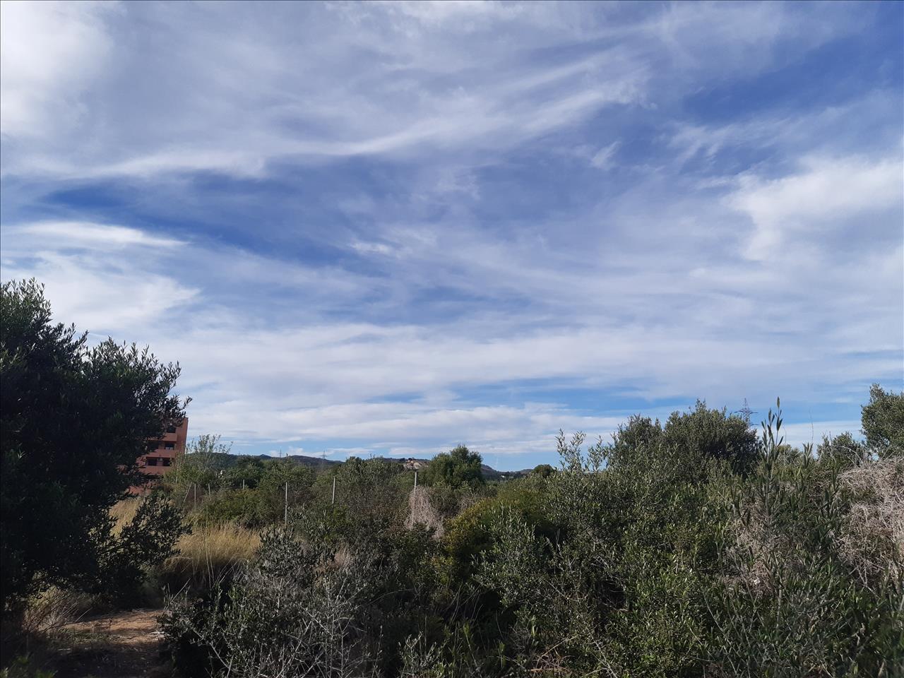 - Image 5