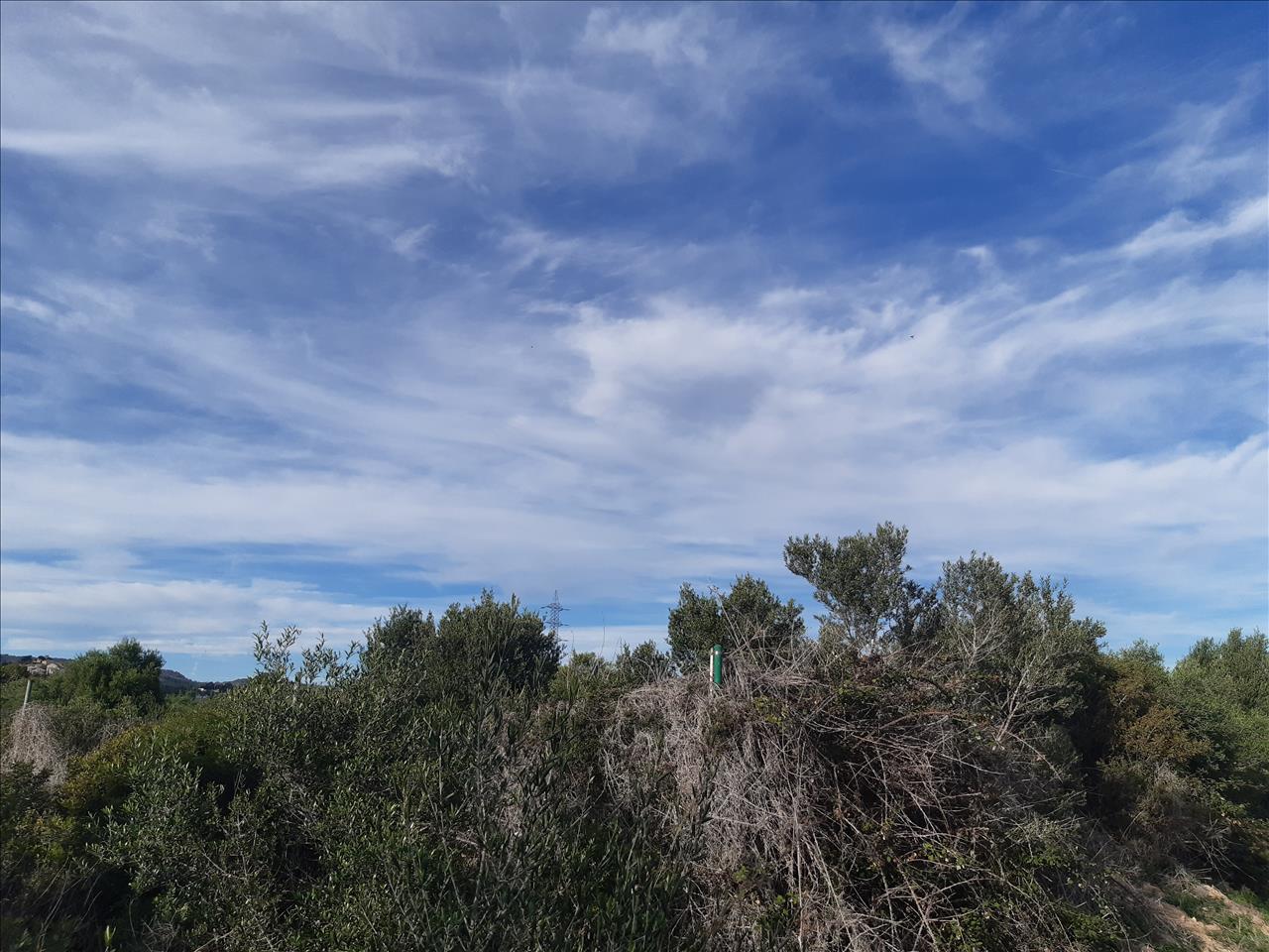 - Image 6