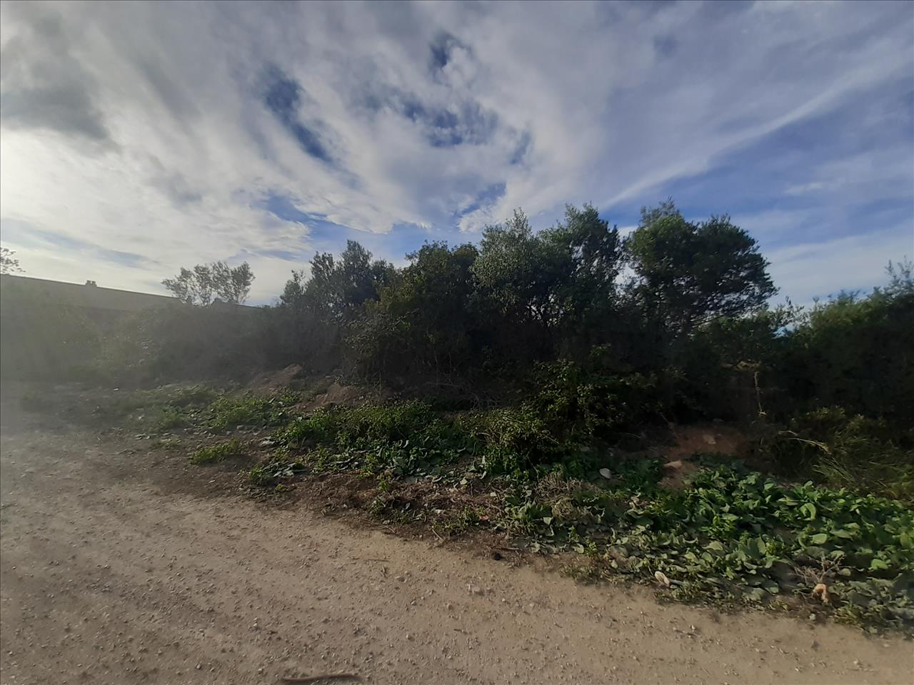 - Image 12