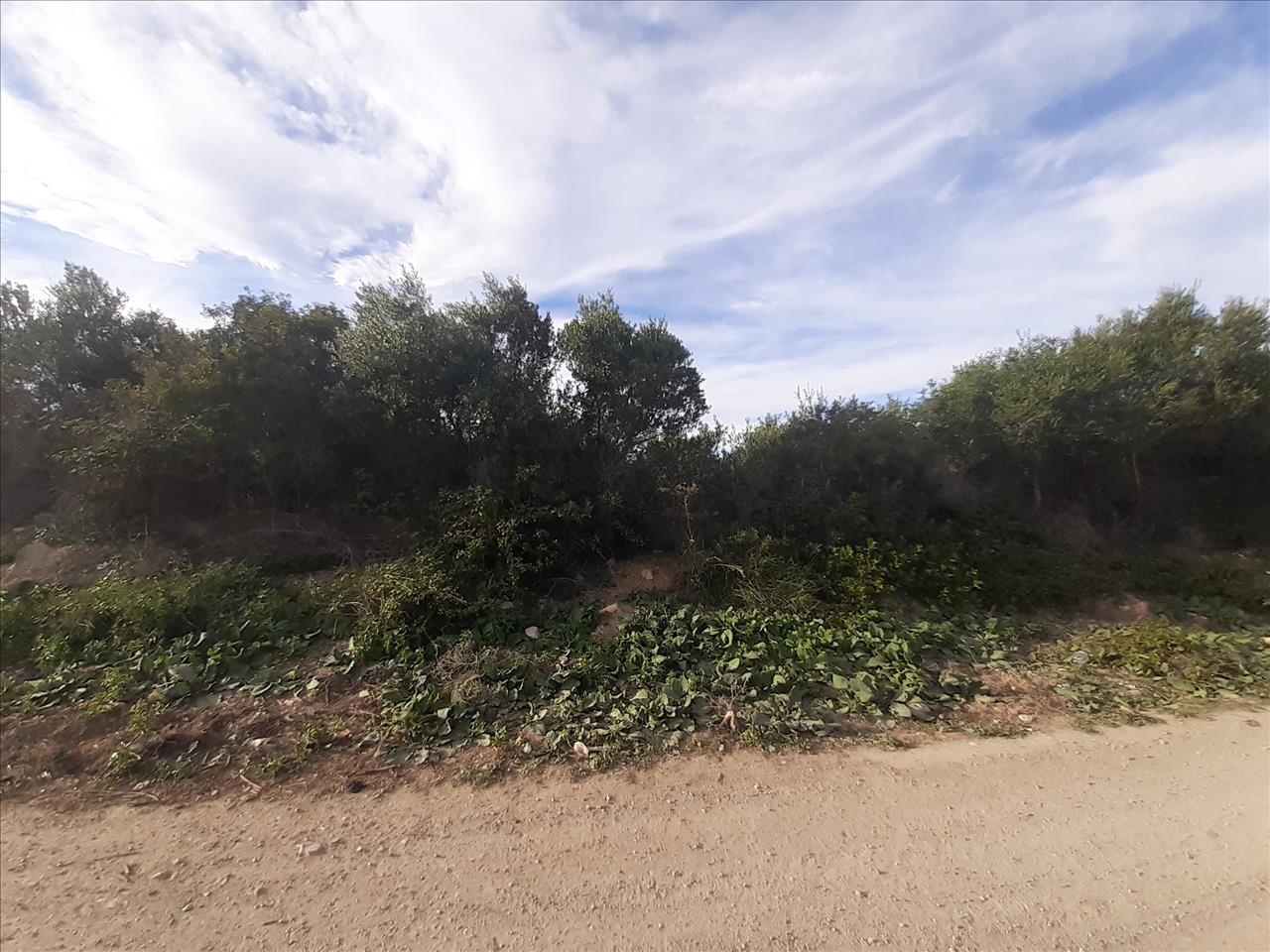 - Image 9