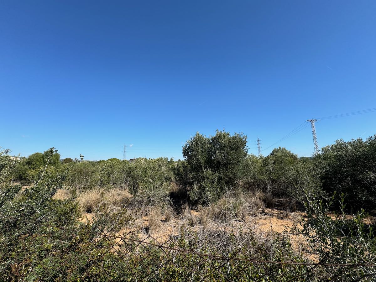 - Image 11