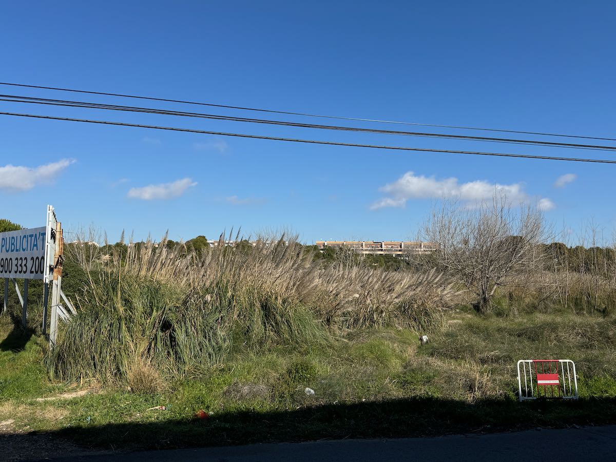 - Image 15
