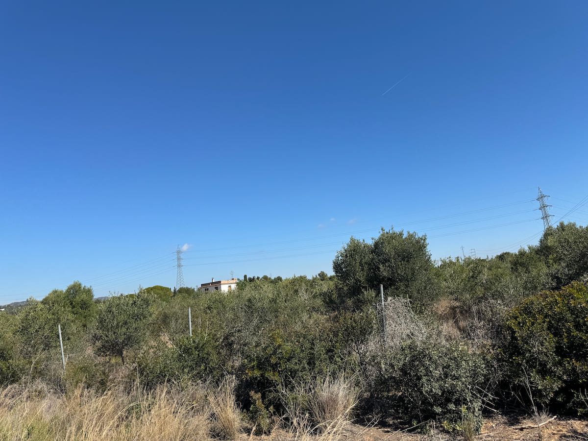 - Image 3