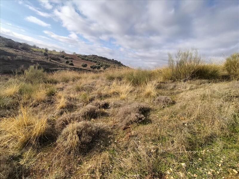 Suelo en Anchuelo, Madrid