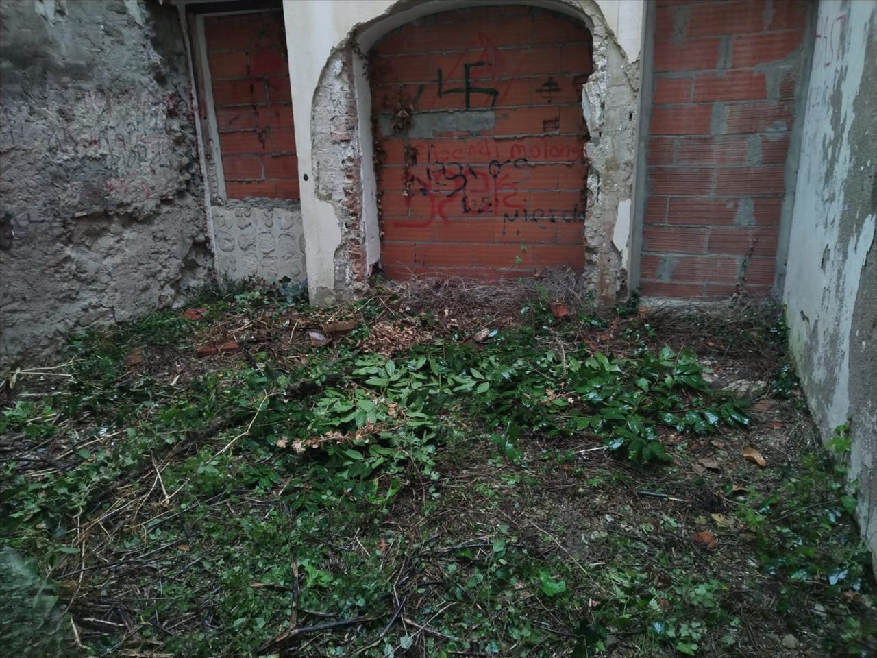 - Image 10