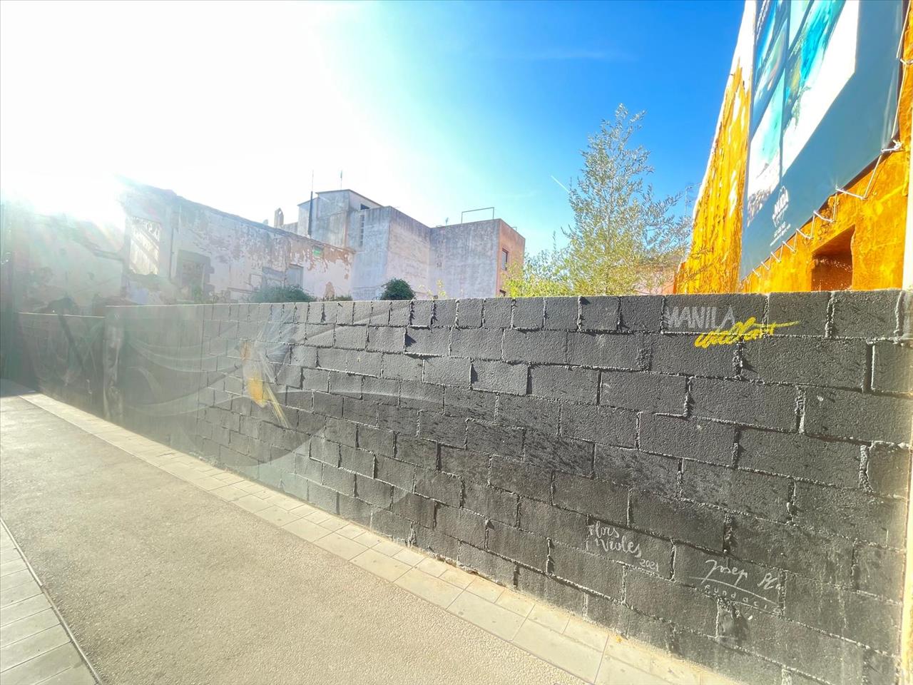 - Image 7
