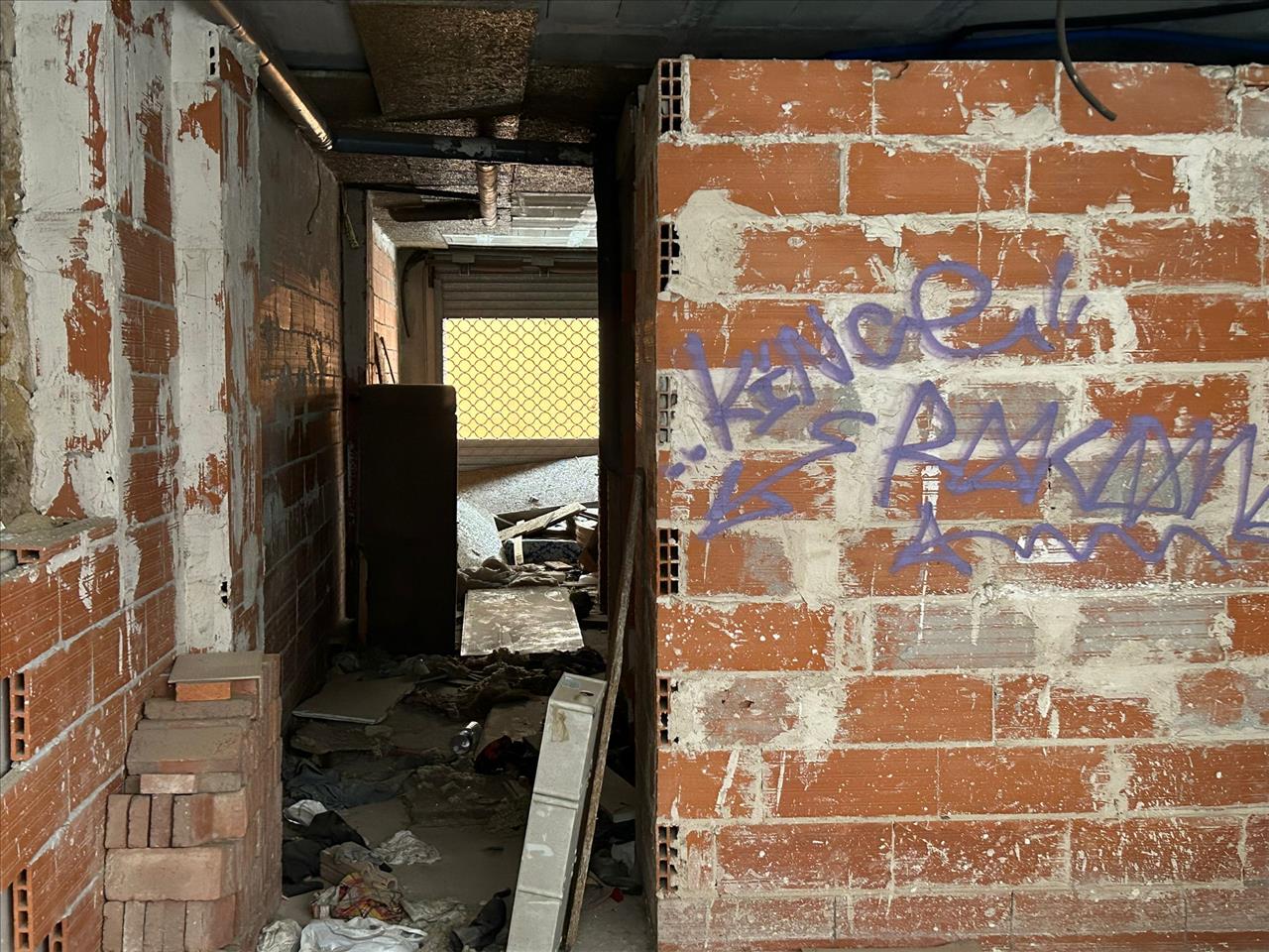 undefined - Image 11