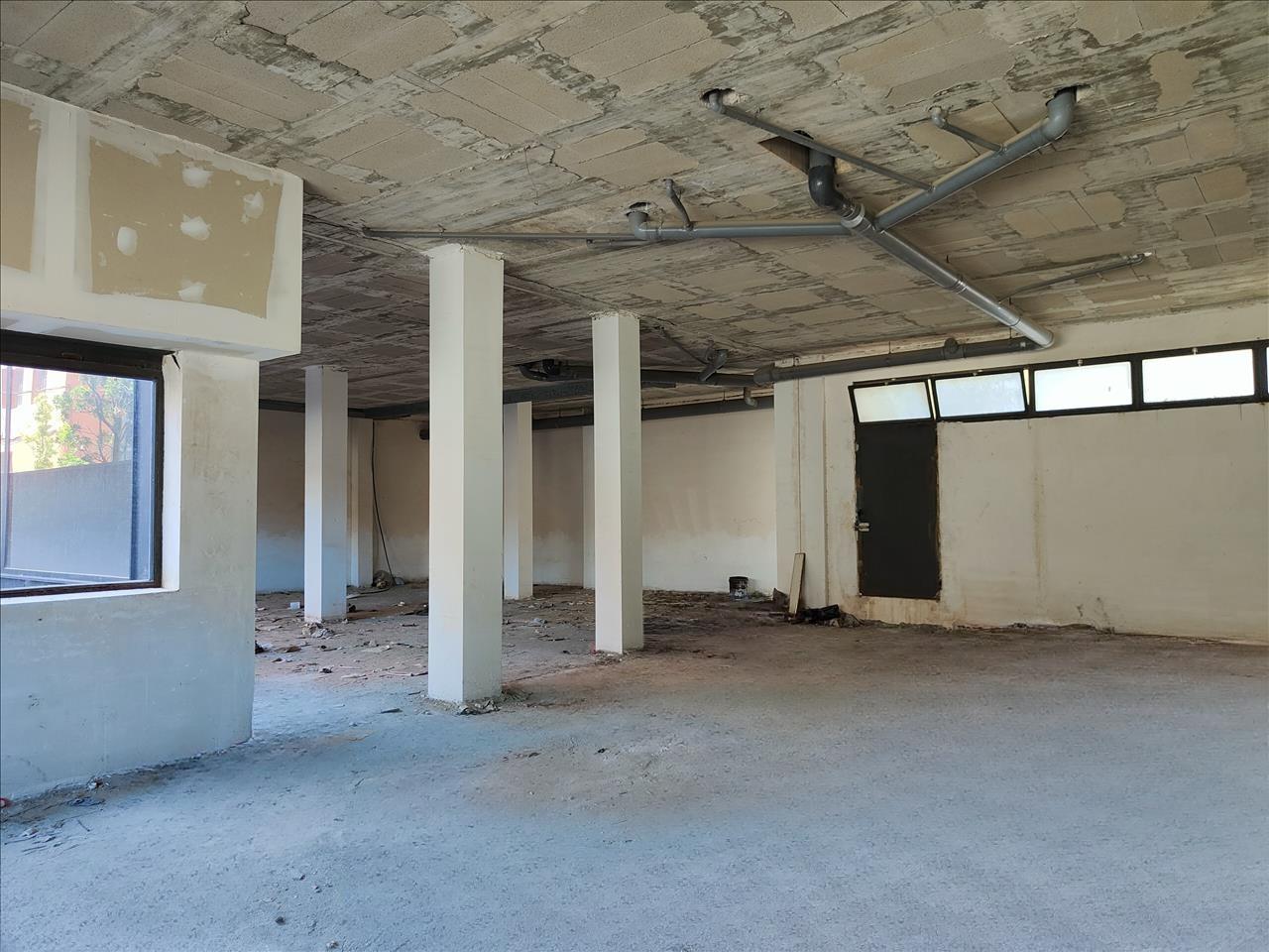 undefined - Image 6