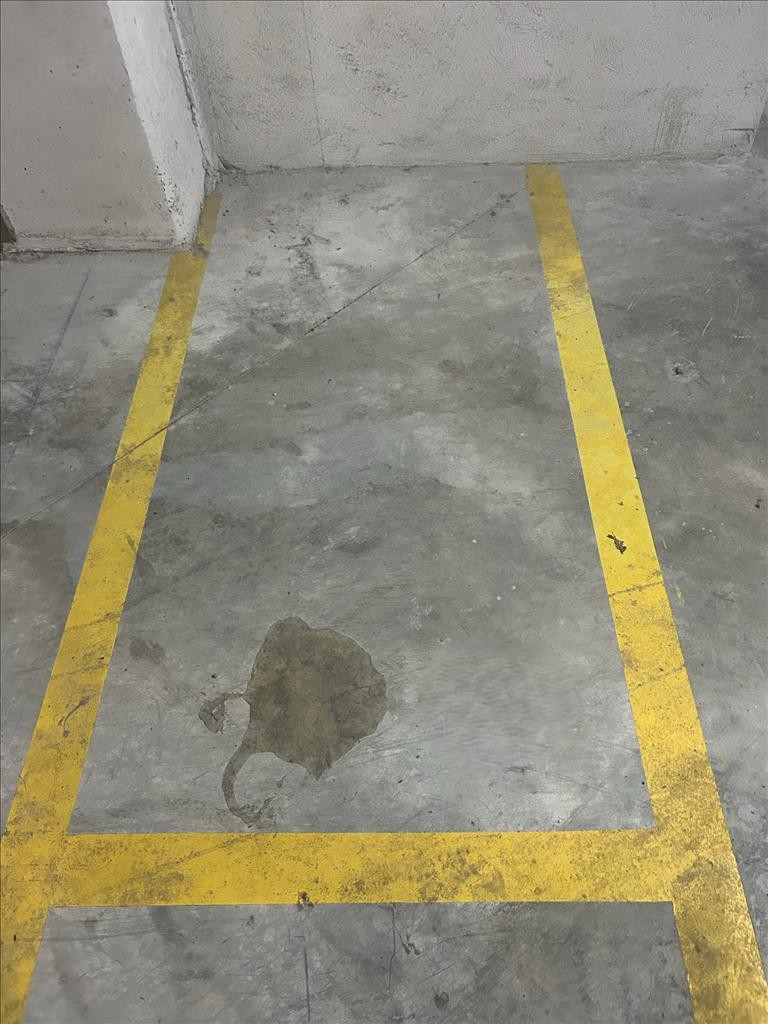 - Image 10