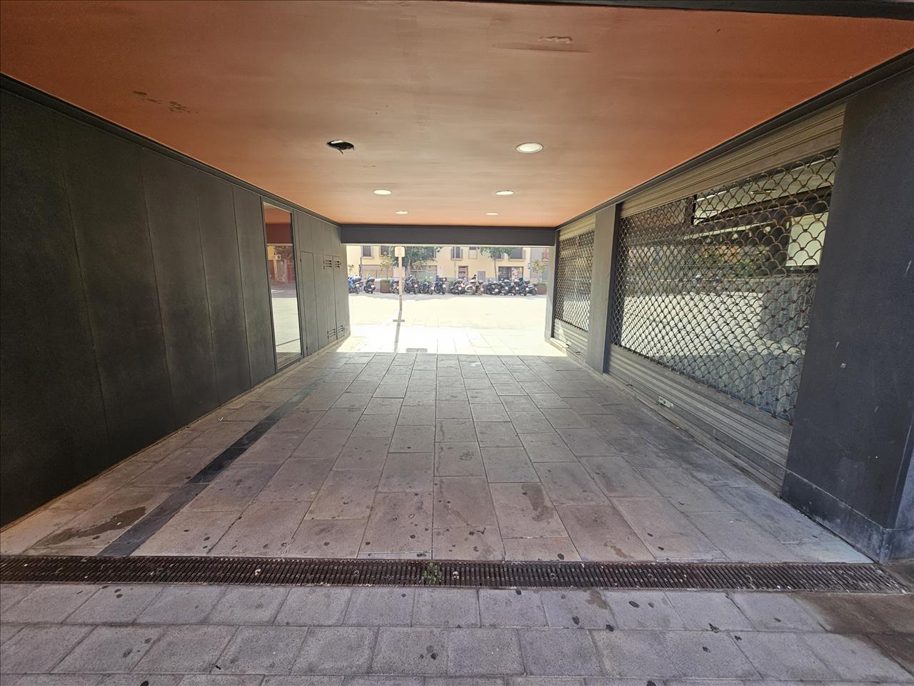 - Image 5