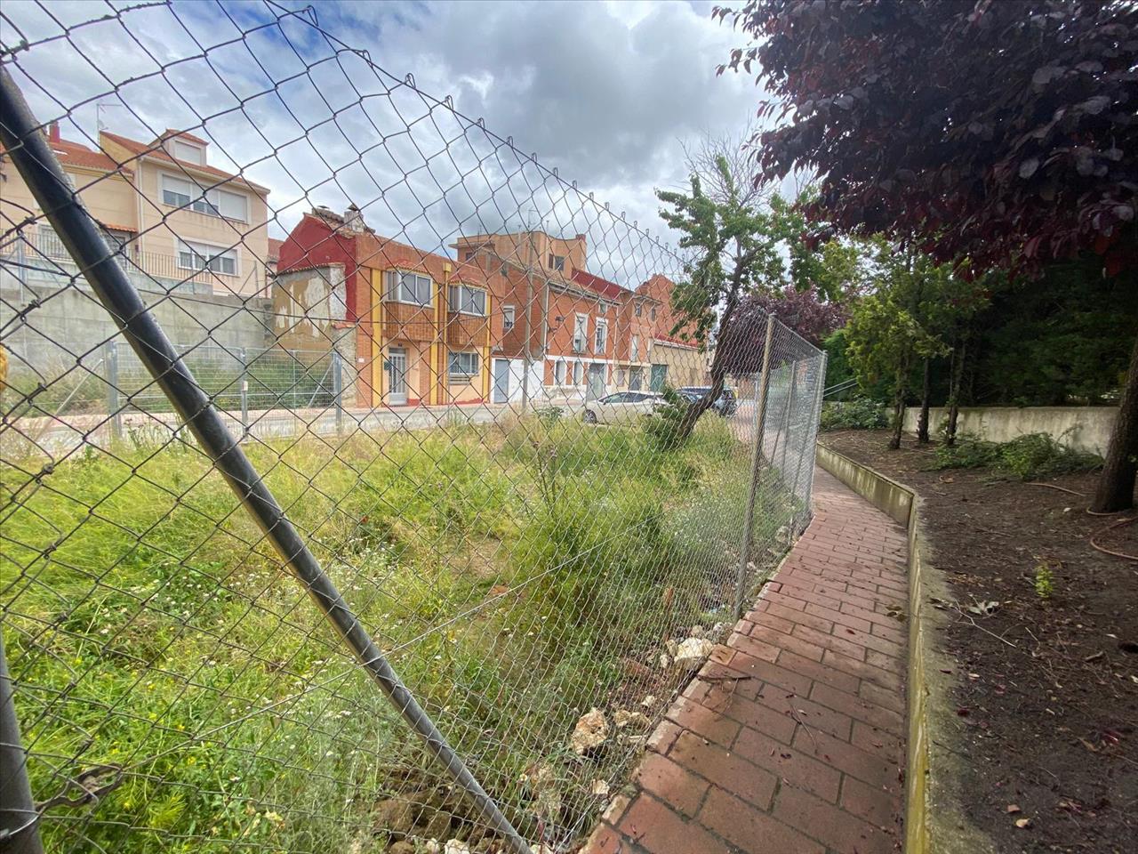 undefined - Image 6